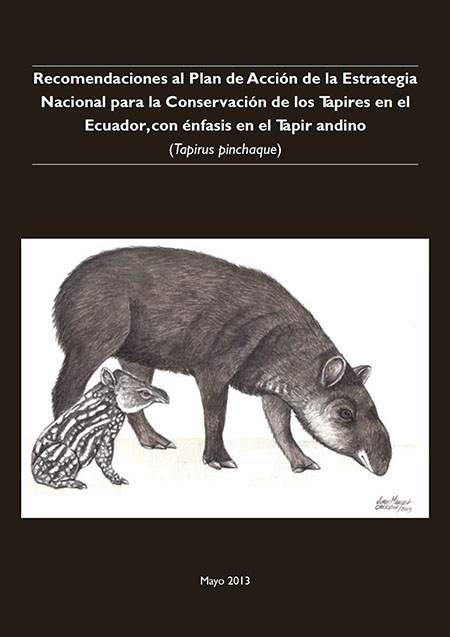 Recomendaciones al Plan de Acción de la Estrategia Nacional para la Conservación de los Tapires en el Ecuador, con énfasis en el tapir andino: (Tapirus pinchaque)