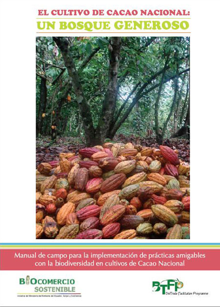 El cultivo de cacao nacional