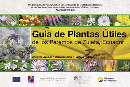 Guía de plantas útiles de los páramos de Zuleta